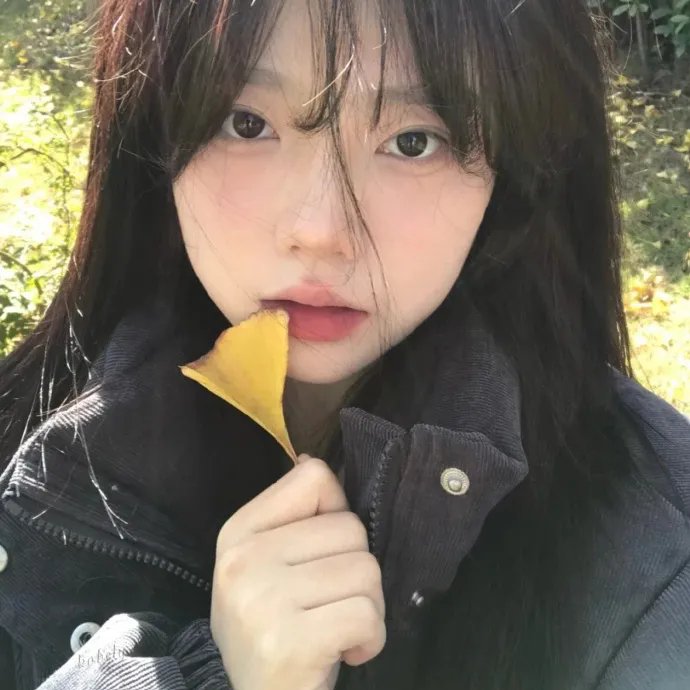 知更鸟