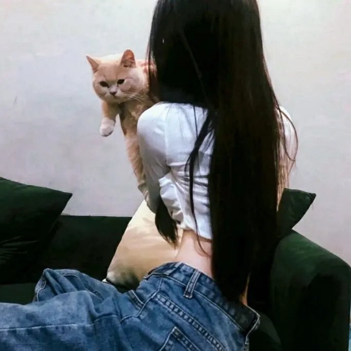 花式舞蹈